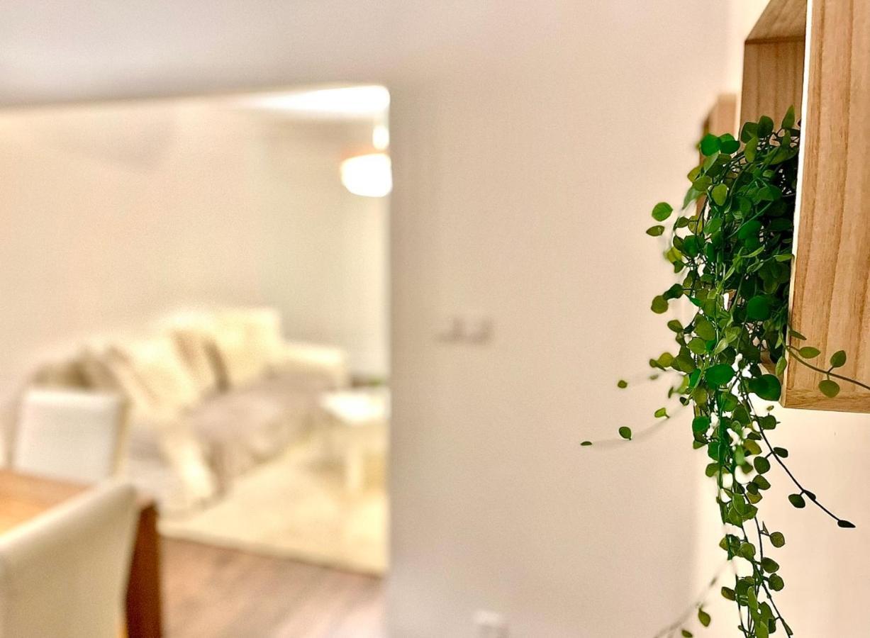 *Fontaine Moussue*Hyper Centre*T2 Standing* Apartment Салон дьо Прованс Екстериор снимка