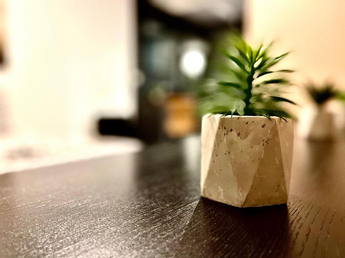 *Fontaine Moussue*Hyper Centre*T2 Standing* Apartment Салон дьо Прованс Екстериор снимка